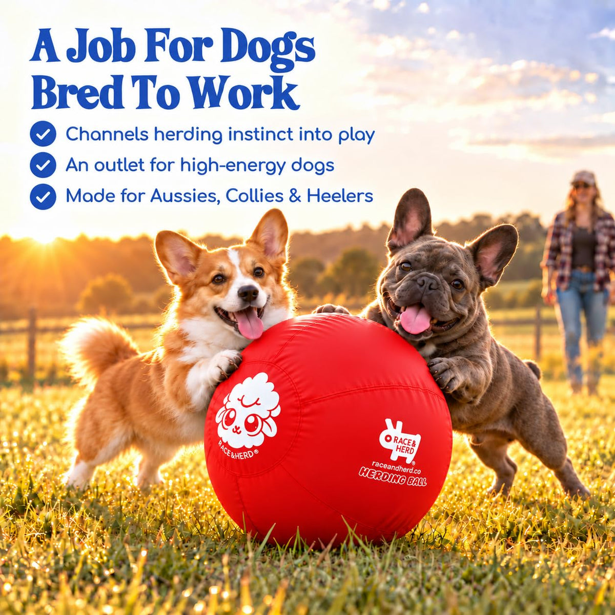 Herding Ball for Dogs — Small 18" (Cherry)