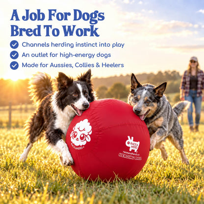 Herding Ball for Dogs Tetherball Set Outside 22" (Cherry)