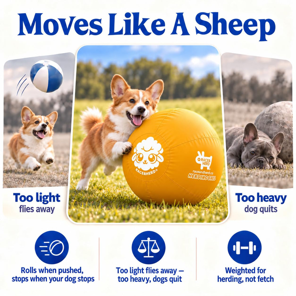 Herding Ball for Dogs — Small 18"