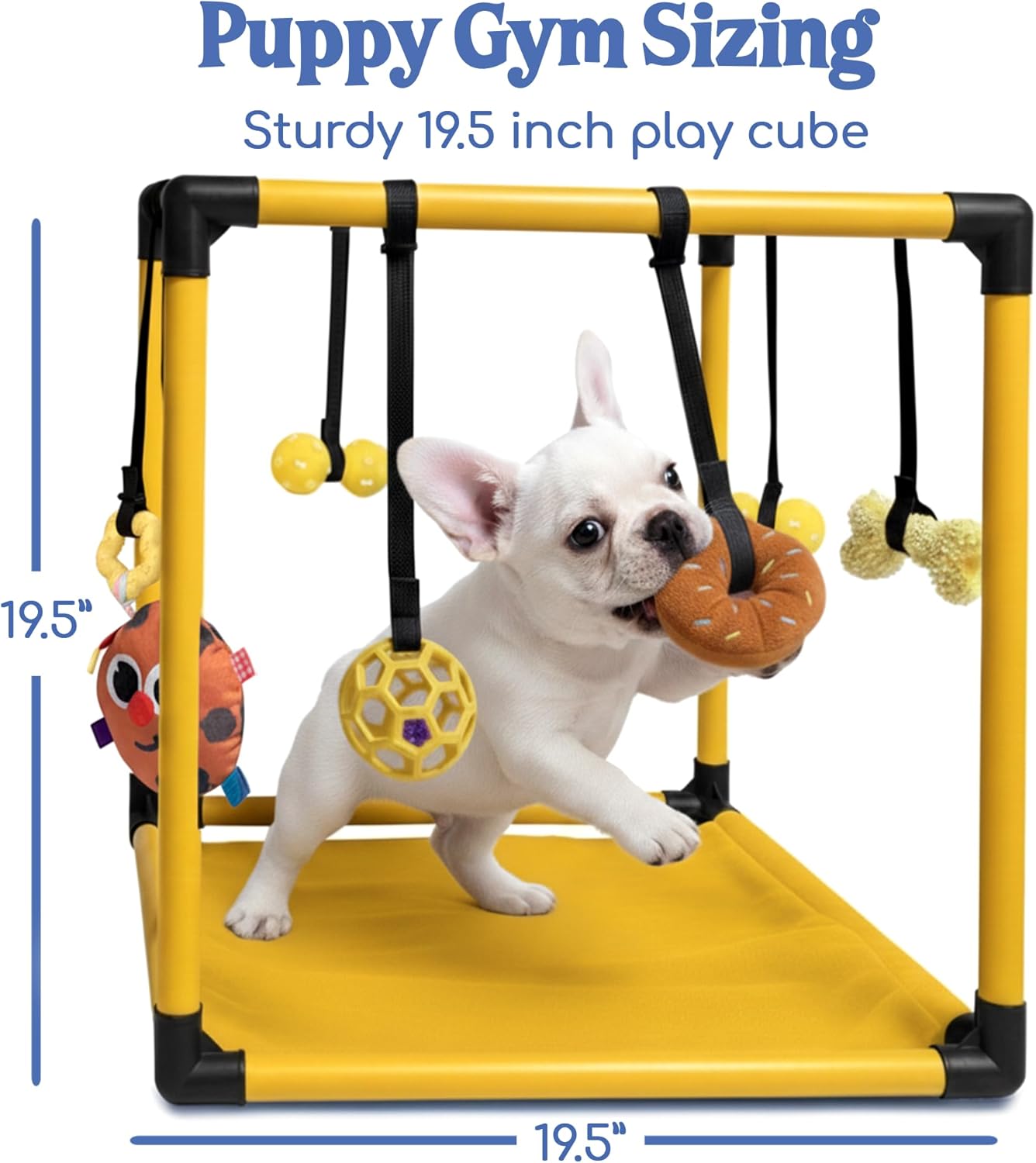 Puppy Play Gym  |  Dog Play Mat, 8 Bungee Straps - Yellow