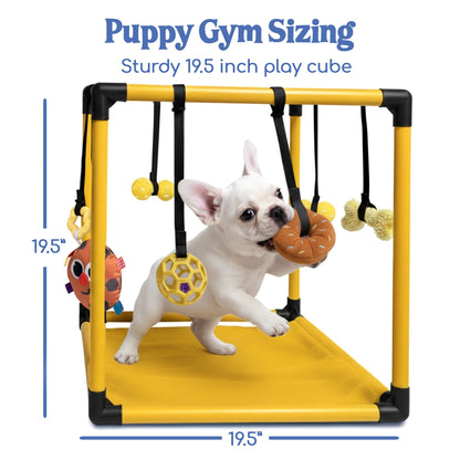 Puppy Play Gym — Small Dog Jungle Activity Mat 19.5" (Gold)