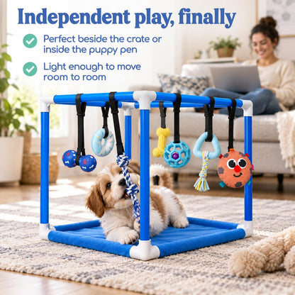 Puppy Play Gym — Small Dog Jungle Activity Mat 19.5" (Ocean)
