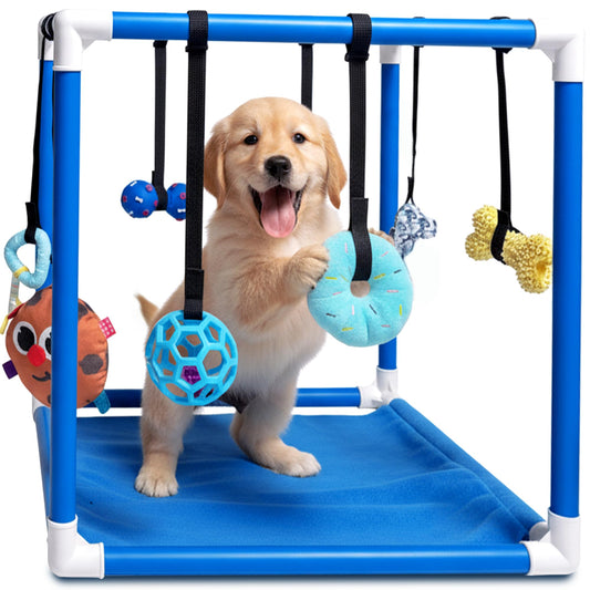 Puppy Play Gym — Small Dog Jungle Activity Mat 19.5" (Ocean)