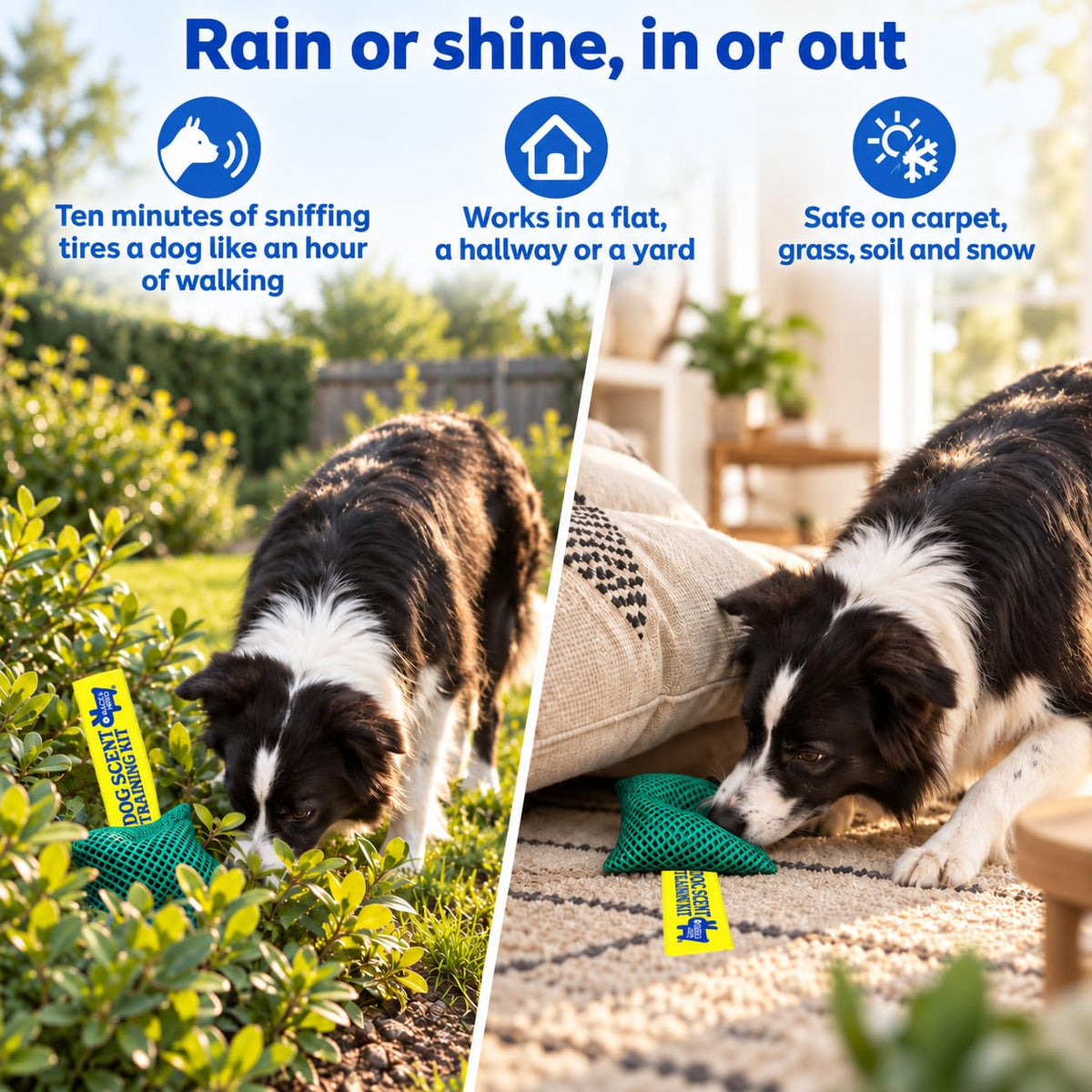 Original Dog Scent Training Kit — 10 Pcs Pouches Nosework Set (Sage)