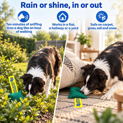 Original Dog Scent Training Kit — 10 Pcs Pouches Nosework Set (Sage)