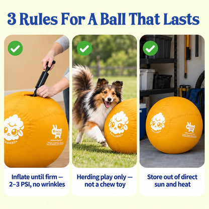 Herding Ball for Dogs — Medium 22" (Yellow)