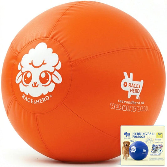 Herding Ball for Dogs — XLarge 30" (Tangerine)