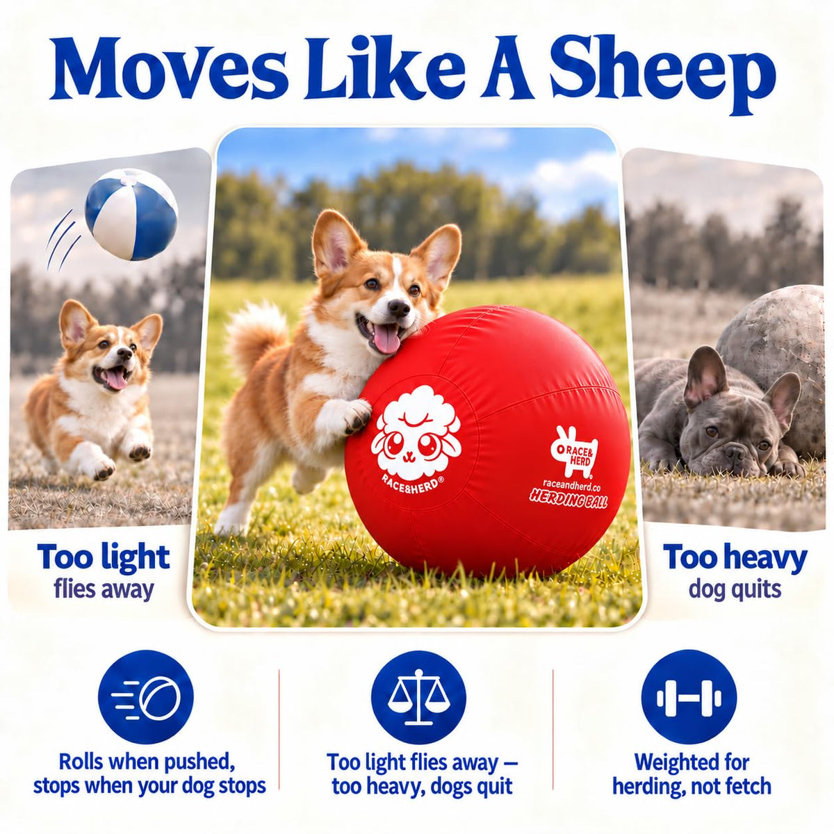 Herding Ball for Dogs — Small 18" (Cherry)