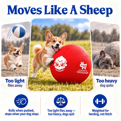 Herding Ball for Dogs — Small 18" (Cherry)
