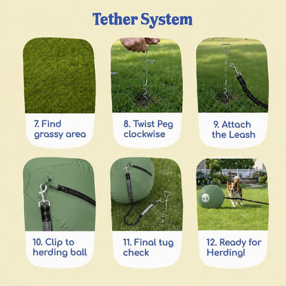 Herding Ball for Dogs Tetherball Set Outside 22" (Sage)