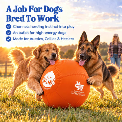 Herding Ball for Dogs — XLarge 30" (Tangerine)
