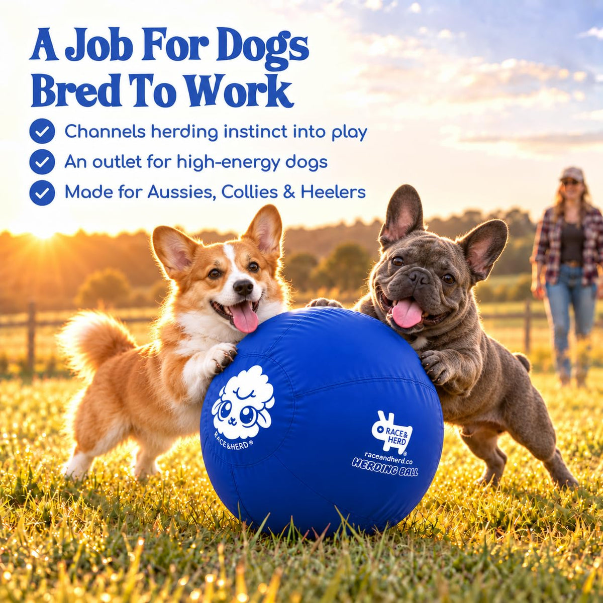 Herding Ball for Dogs — Small 18" (Blue)