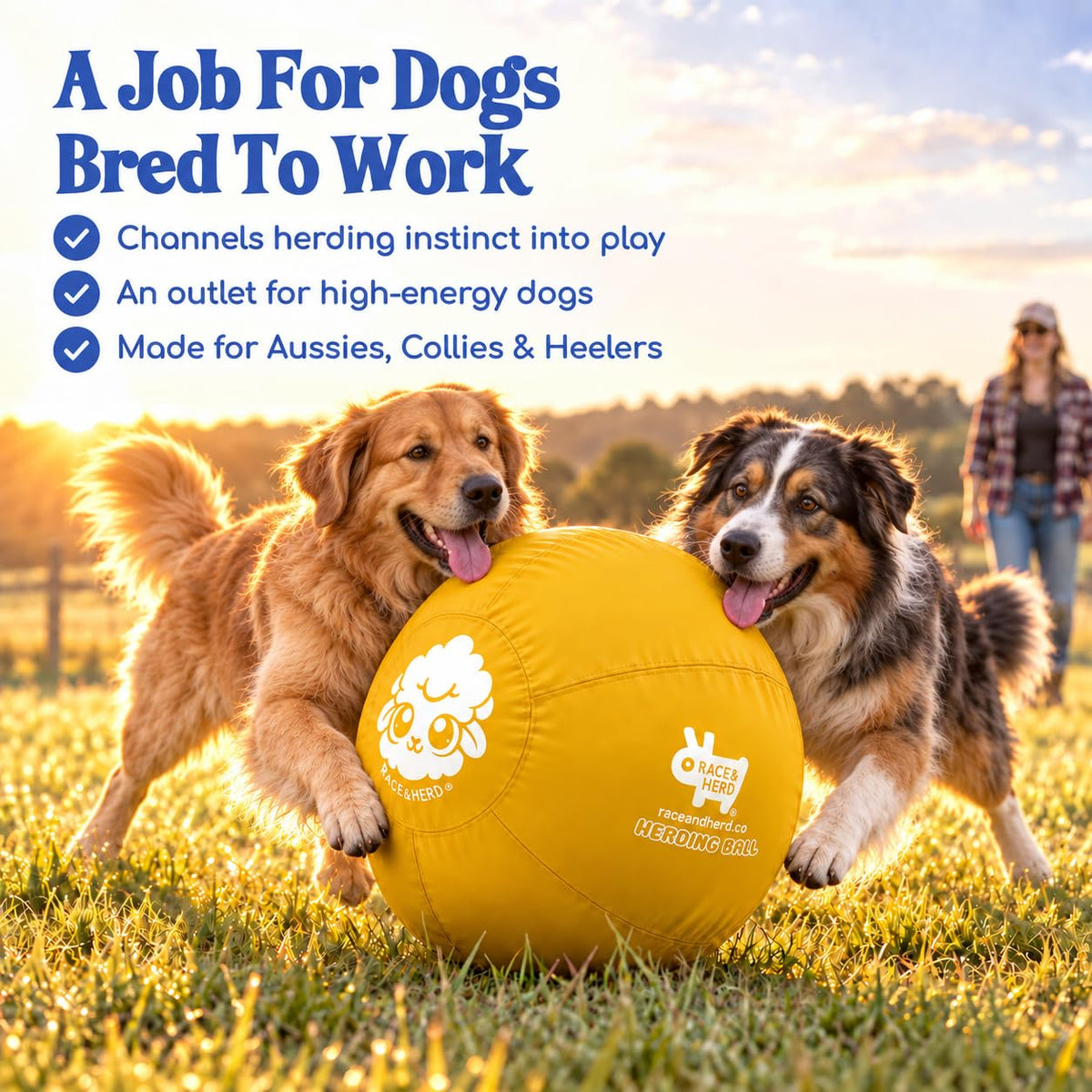 Herding Ball for Dogs — XLarge 30" (Yellow)