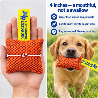 Original Dog Scent Training Kit — 10 Pcs Pouches Nosework Set (Tangerine)