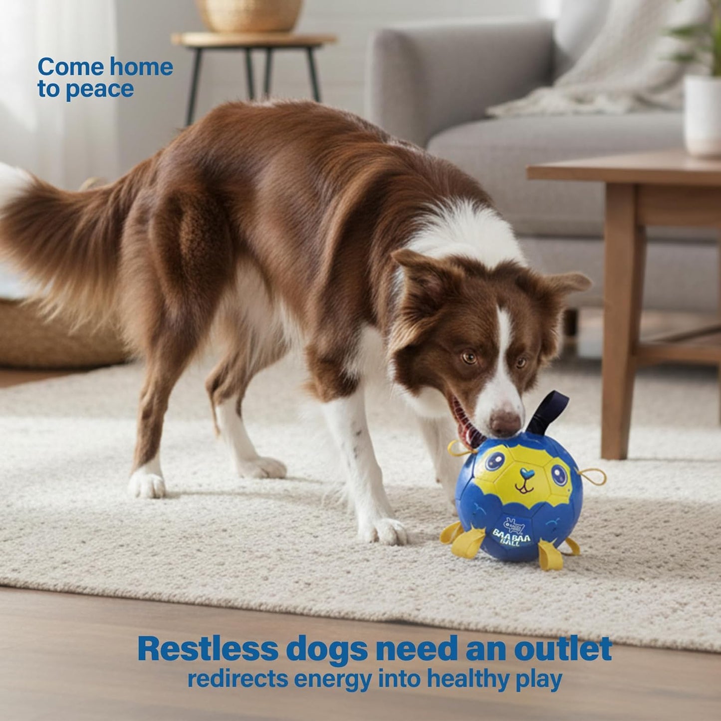 BaaBaa Ball |  Dog Soccer Ball With Tabs