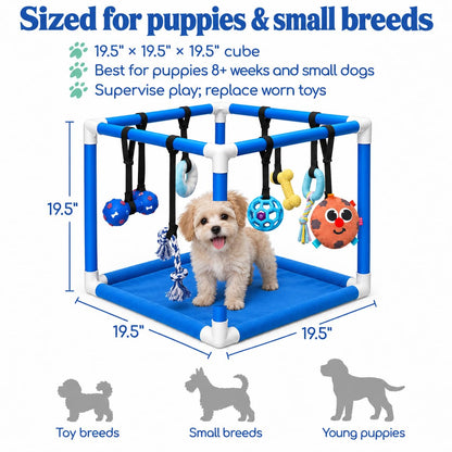 Puppy Play Gym — Small Dog Jungle Activity Mat 19.5" (Ocean)