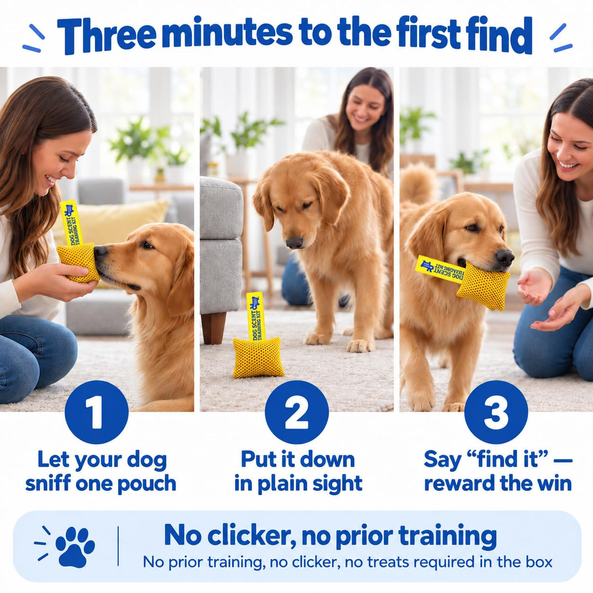 Original Dog Scent Training Kit — 10 Pcs Pouches Nosework Set (Gold)