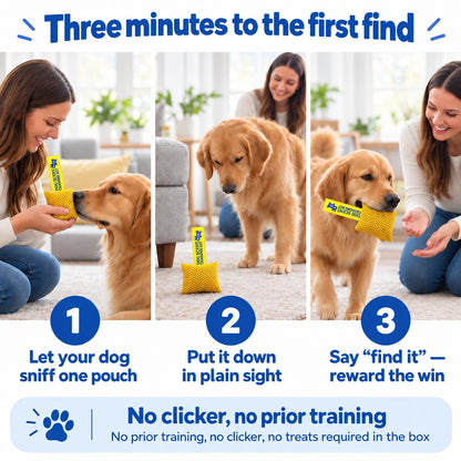 Original Dog Scent Training Kit — 10 Pcs Pouches Nosework Set (Gold)