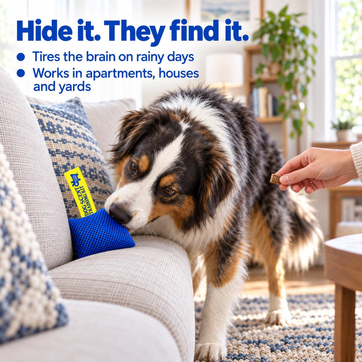 Original Dog Scent Training Kit — 6 Pcs Pouches Nosework Set (Blue, Tin)