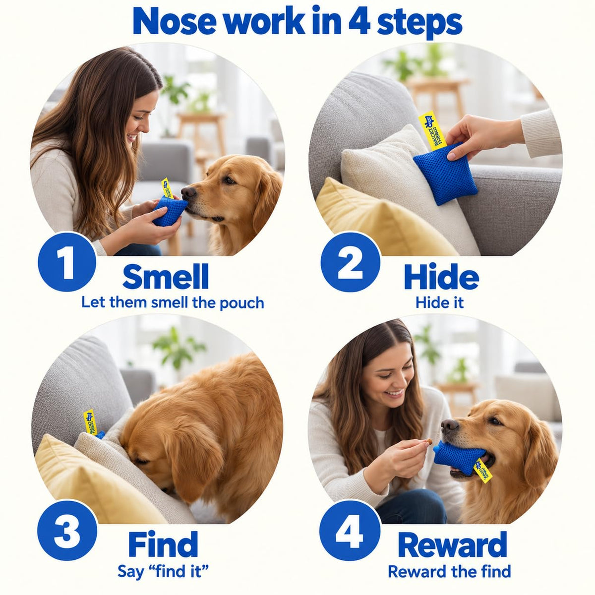 Original Dog Scent Training Kit — 6 Pcs Pouches Nosework Set (Blue, Tin)
