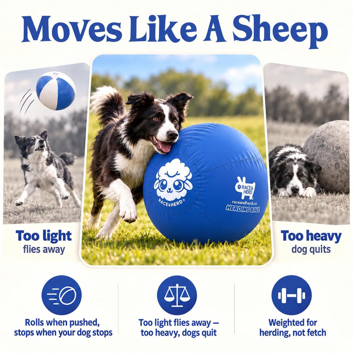 Herding Ball for Dogs Tetherball Set Outside 22" (Ocean)
