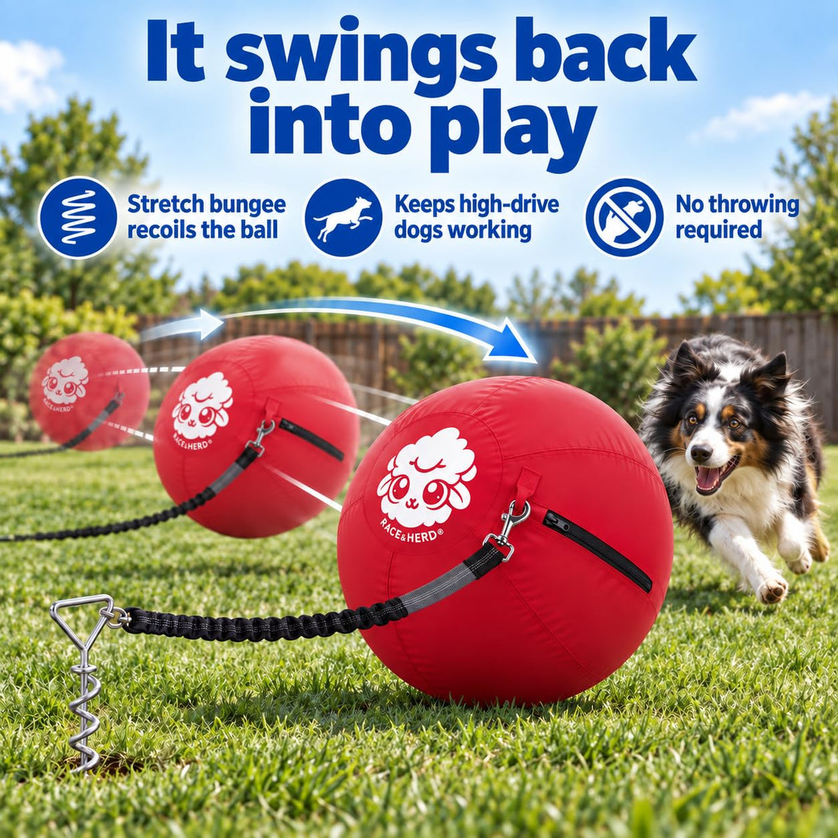Herding Ball for Dogs Tetherball Set Outside 22" (Cherry)