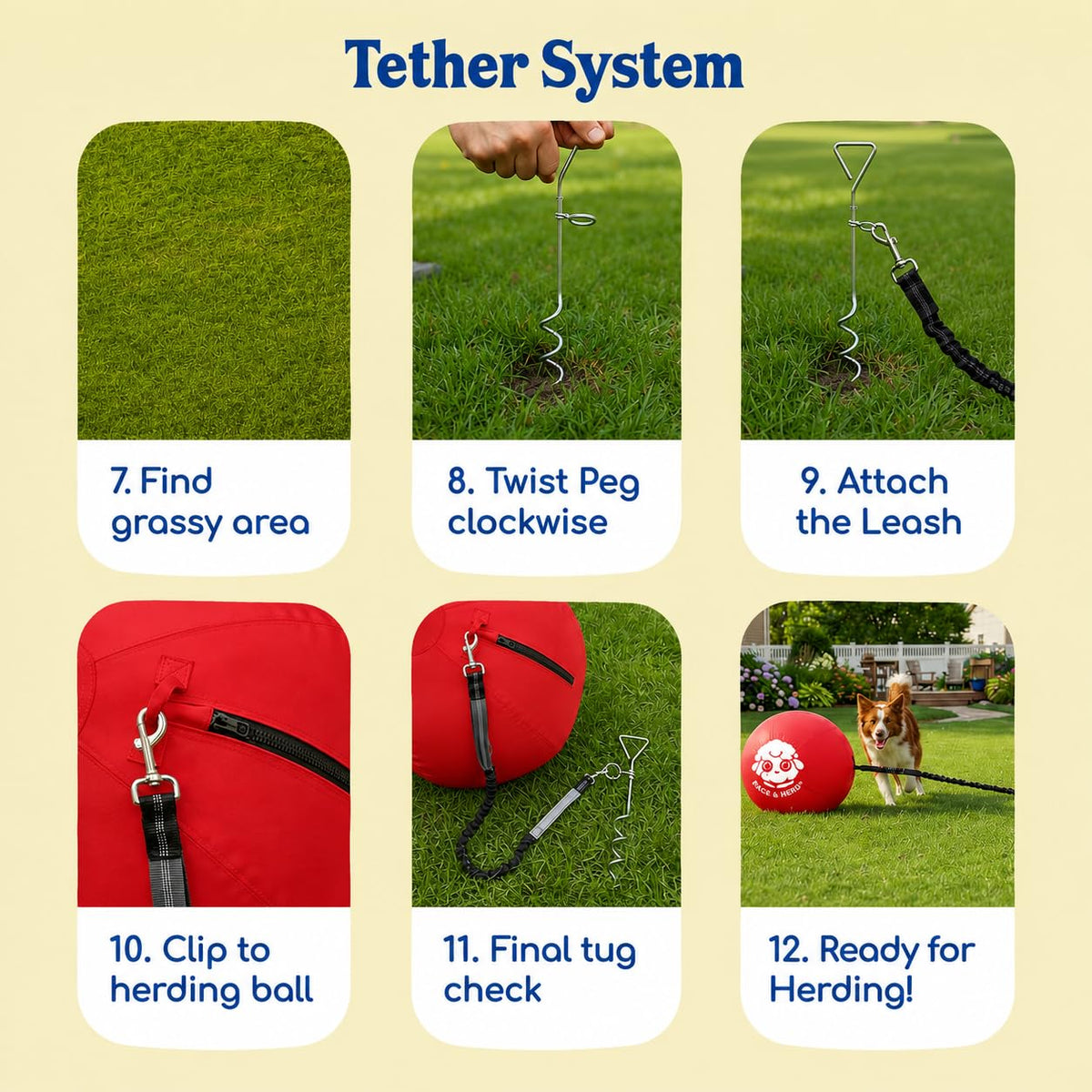 Herding Ball for Dogs Tetherball Set Outside 22" (Cherry)