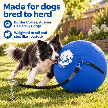 Herding Ball for Dogs Tetherball Set Outside 22" (Ocean)