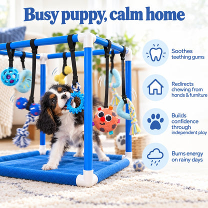 Puppy Play Gym — Small Dog Jungle Activity Mat 19.5" (Ocean)