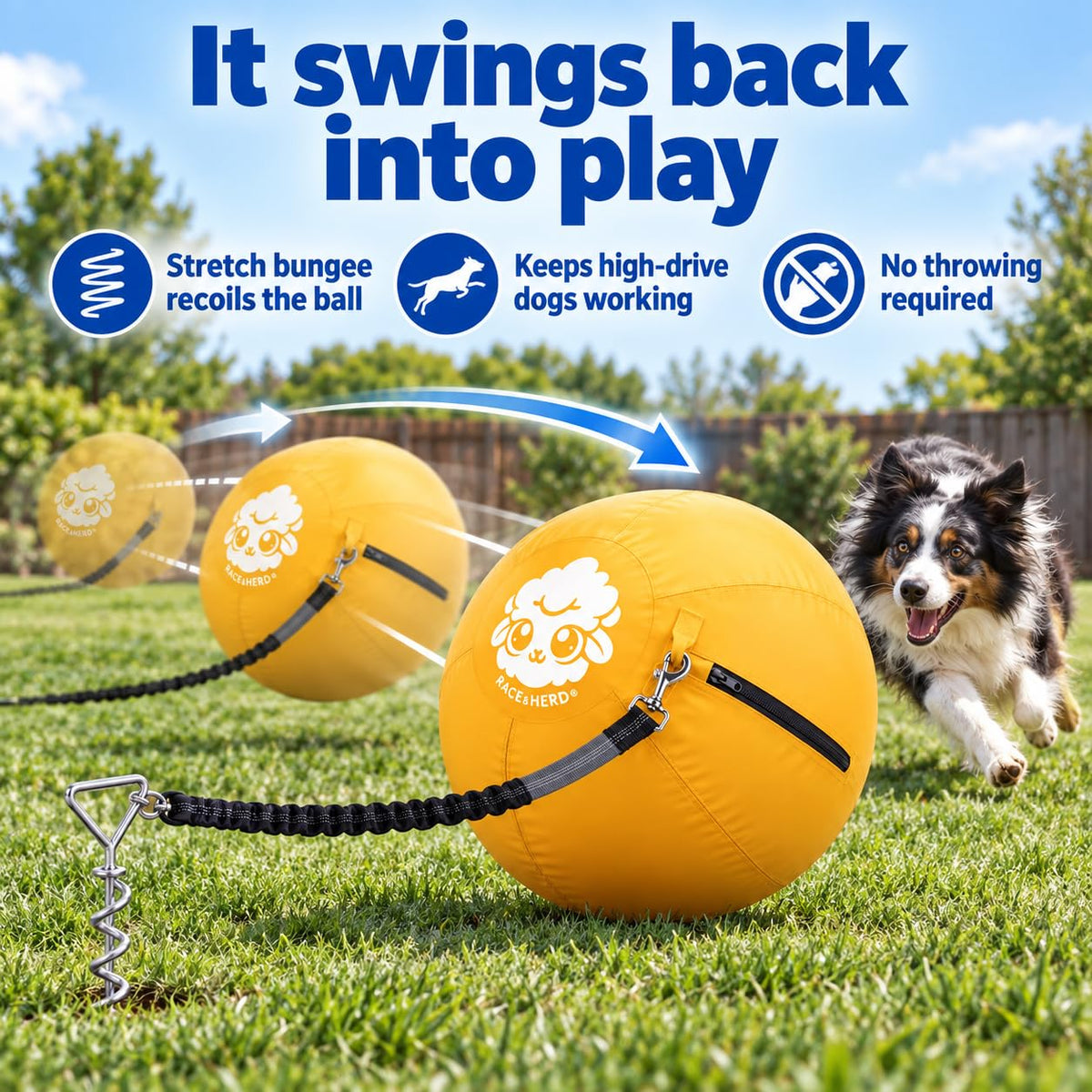 Herding Ball for Dogs Tetherball Set Outside 22" (Gold)
