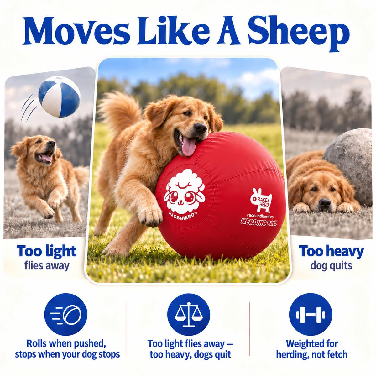 Herding Ball for Dogs — XLarge 30" (Cherry)