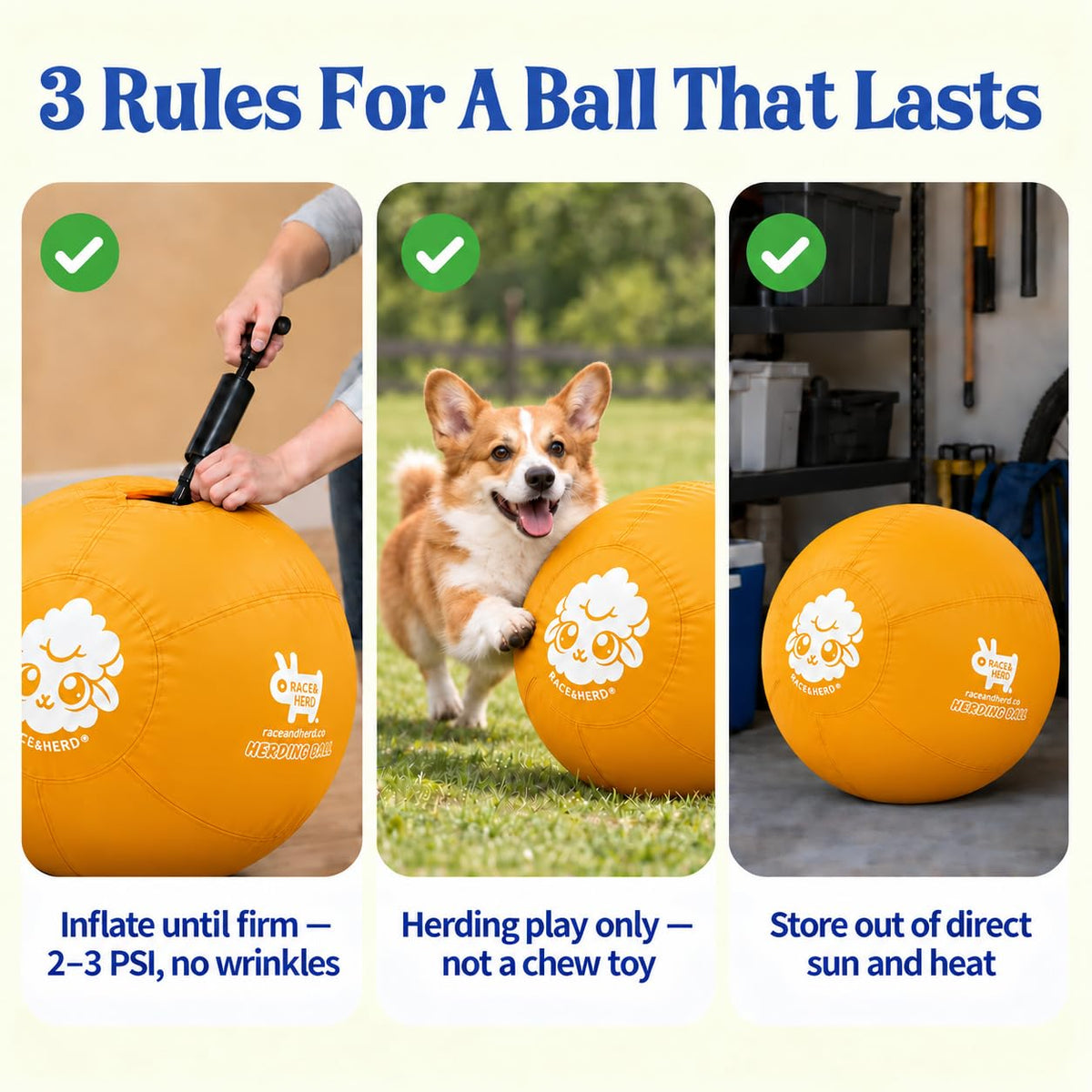 Herding Ball for Dogs — Small 18"