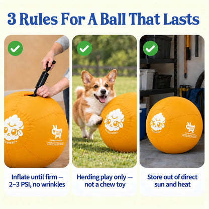 Herding Ball for Dogs — Small 18"