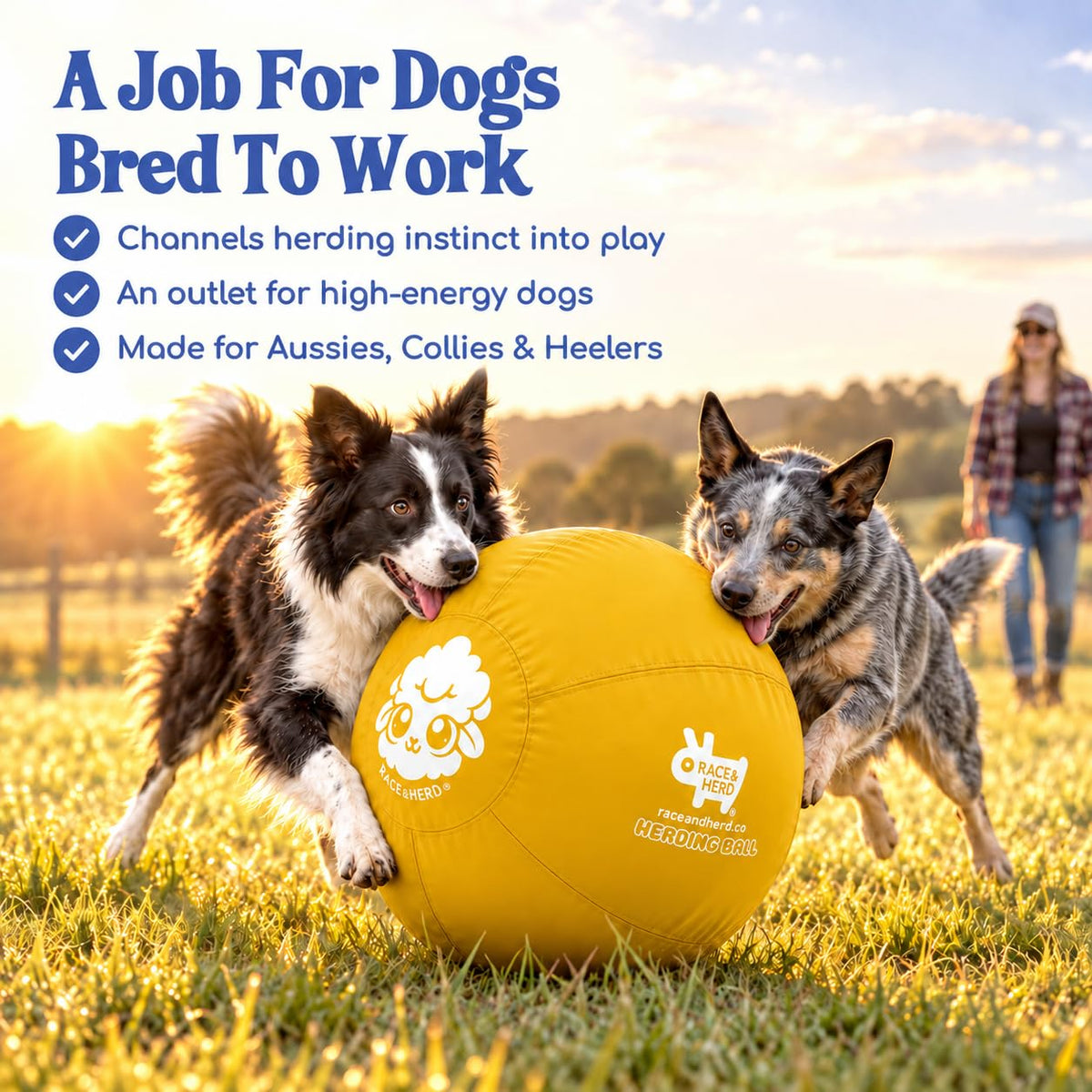Herding Ball for Dogs — Large 25" (Yellow)