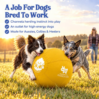 Herding Ball for Dogs — Large 25" (Yellow)