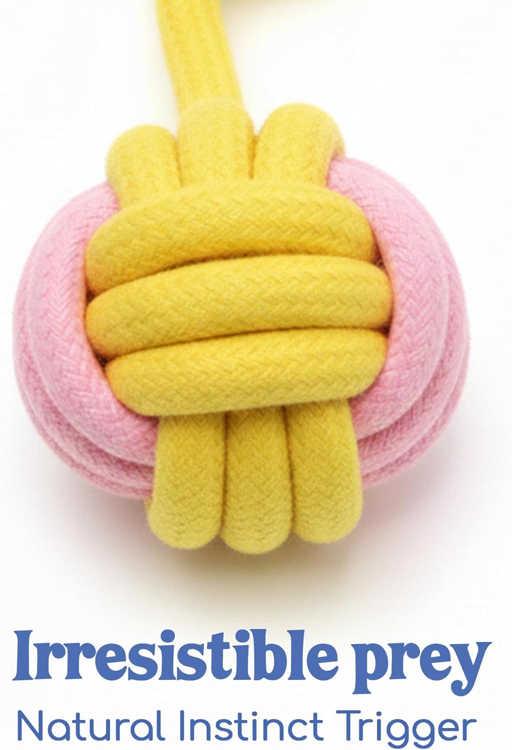 Outward Hound Tail Teaser | Dog Flirt Pole Toy