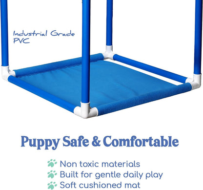 Puppy Play Gym  |  Dog Play Mat, 8 Bungee Straps