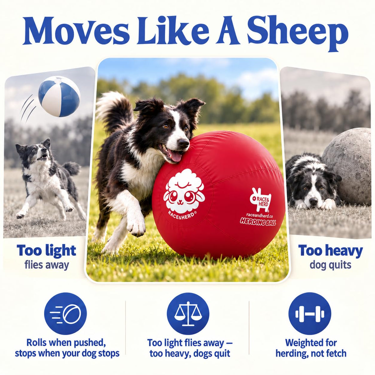 Herding Ball for Dogs Tetherball Set Outside 22" (Cherry)