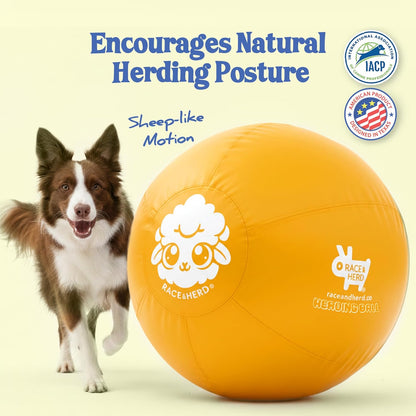 22" Herding Ball for Dogs | Medium