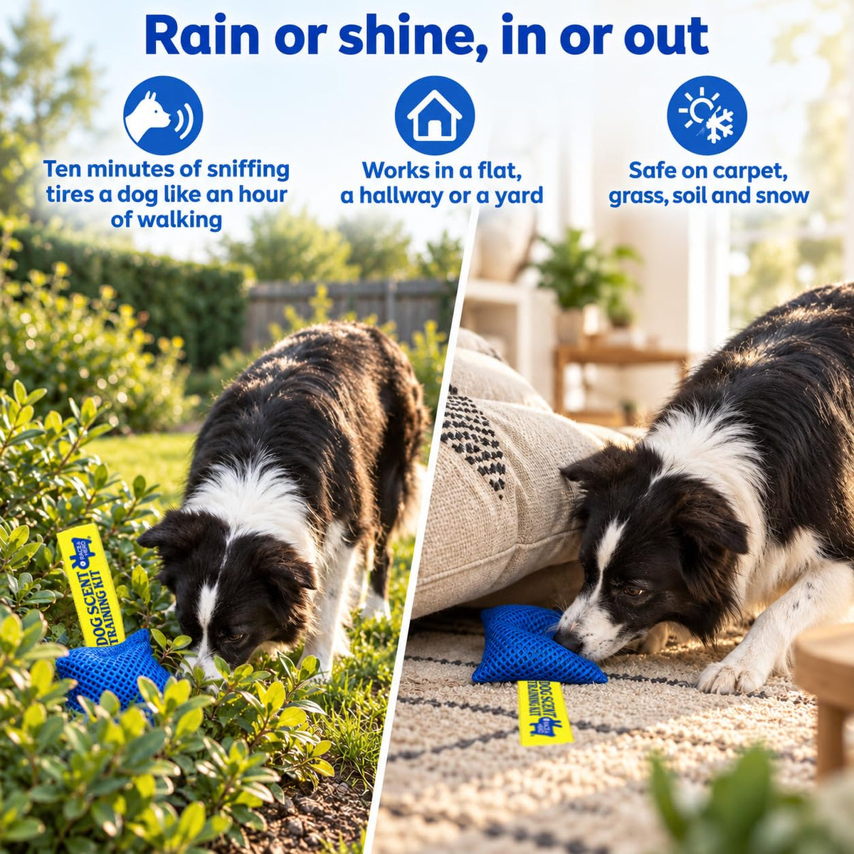 Original Dog Scent Training Kit — 6 Pcs Pouches Nosework Set (Blue, Bag)