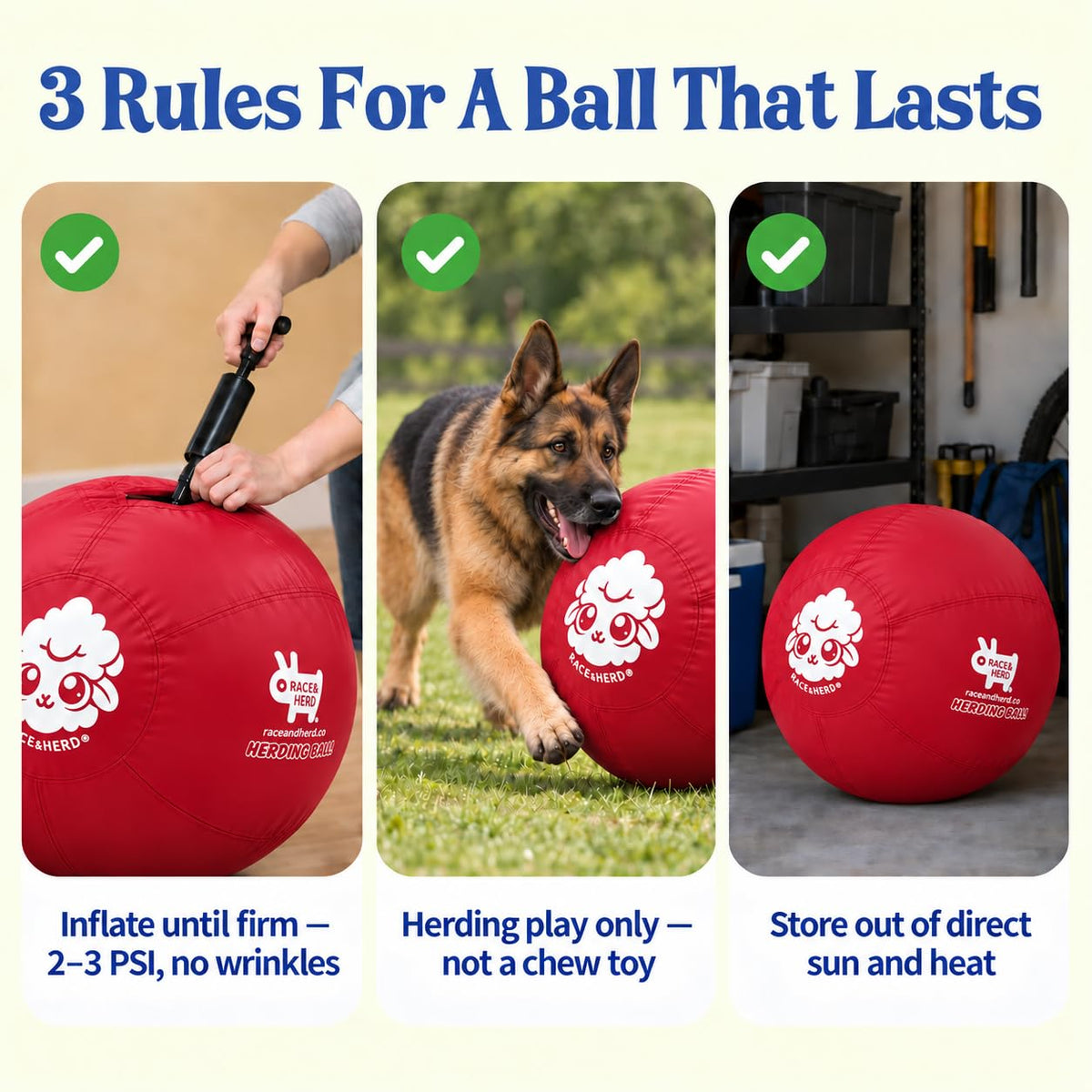 Herding Ball for Dogs — XLarge 30" (Cherry)