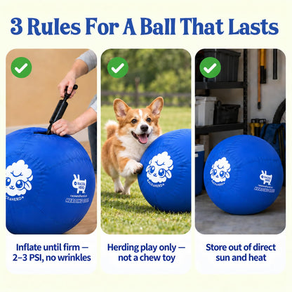 Herding Ball for Dogs — Small 18" (Blue)