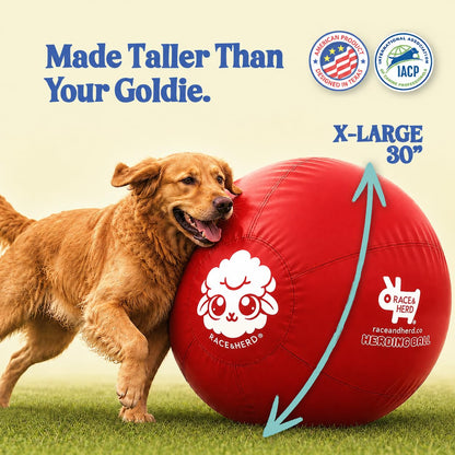 Herding Ball for Dogs — XLarge 30" (Cherry)