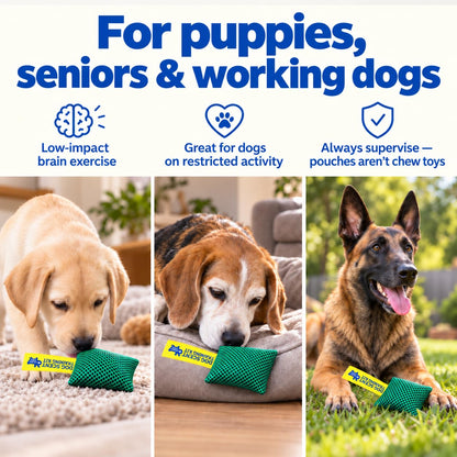 Original Dog Scent Training Kit — 10 Pcs Pouches Nosework Set (Sage)