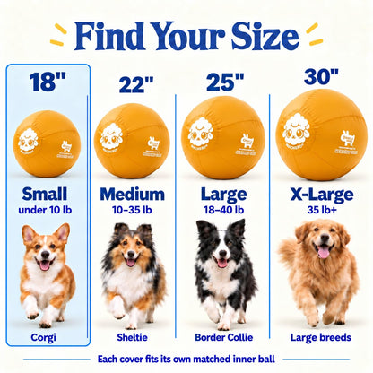 Herding Ball for Dogs — Small 18"