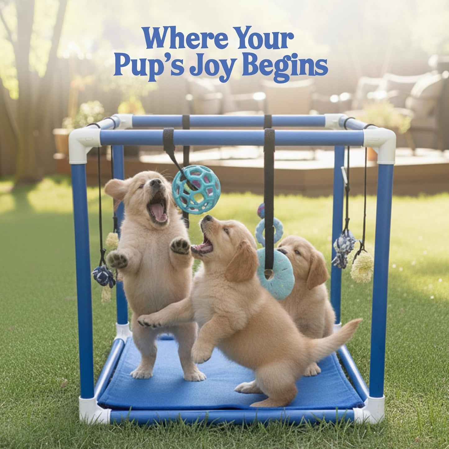 Puppy Play Gym  |  Dog Play Mat, 8 Bungee Straps - Green