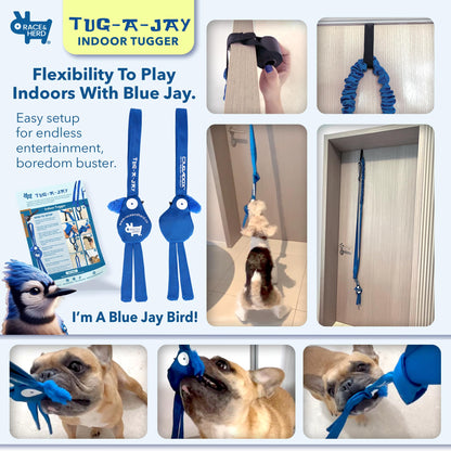Tree Tugger Dog Toy