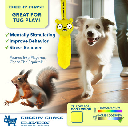 Flirt Pole Dog Toy
