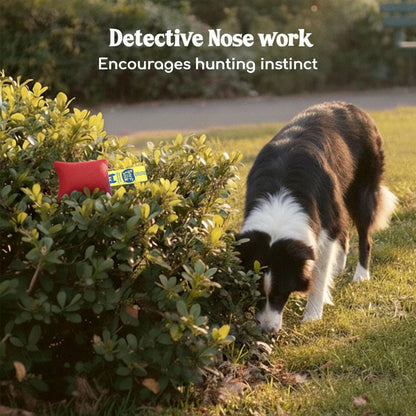 Sniff and Seek Dog Scent Game | Scent Training for Dogs | Red - 10 Pack Box