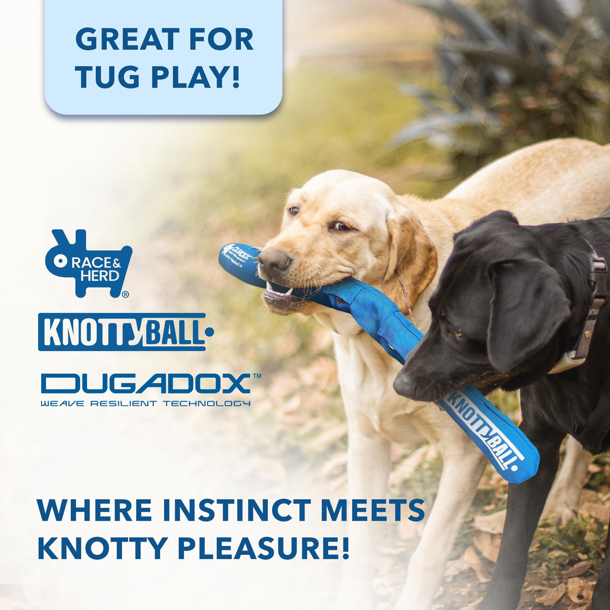 Knotty Ball | Snuffle Ball for Dogs